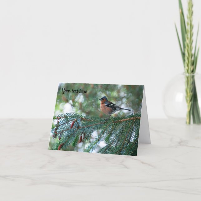 Chaffinch bird Greeting card (Front)