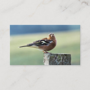CHAFFINCH BUSINESS CARD
