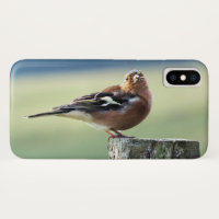 CHAFFINCH 