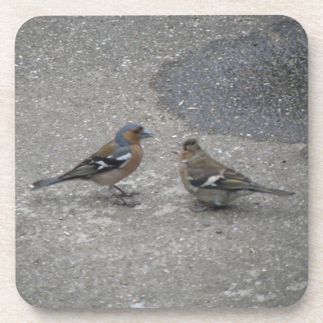 Chaffinch Feed Me Cork Coaster (Front)