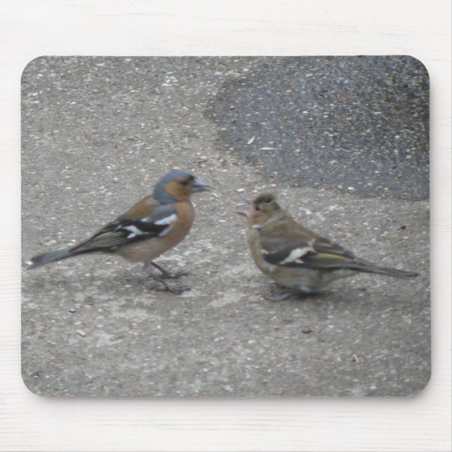 Chaffinch Feed Me Mousepad (Front)