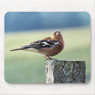 CHAFFINCH MOUSE PAD