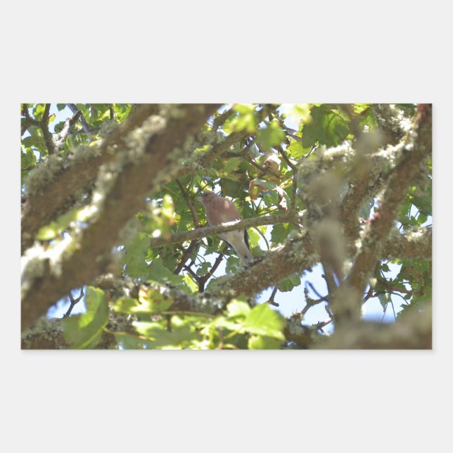 Chaffinch Rectangular Sticker (Front)