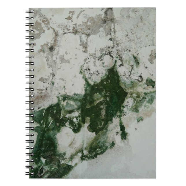 Chaina Notebook (Front)