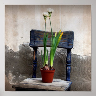 Chair and Flower Poster
