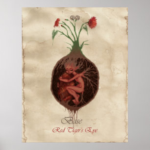 CHAKRA FAE - BASE POSTER