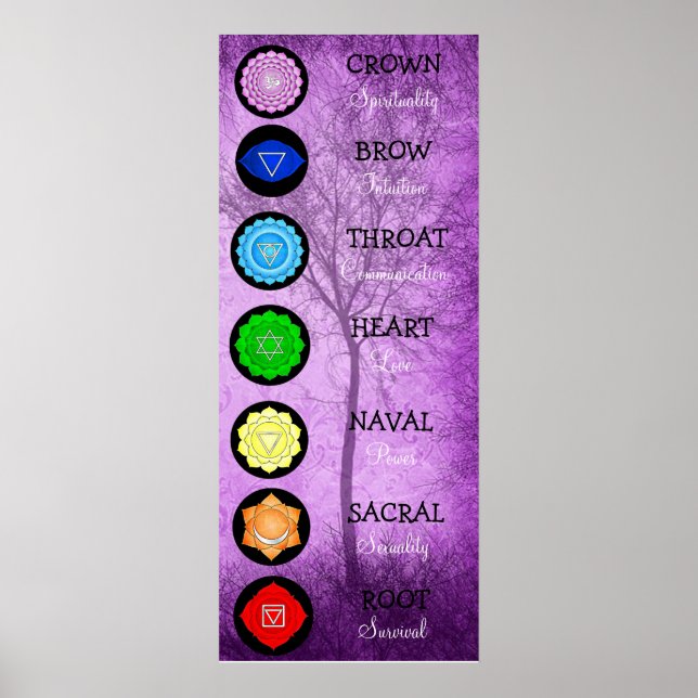 Chakras Centres Chart Chi Energy (Front)