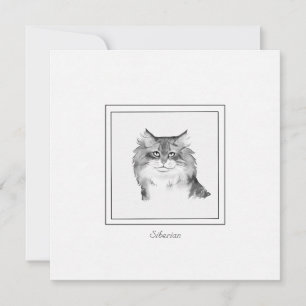 Chalk Drawing of a Siberian Cat Flat Note Card