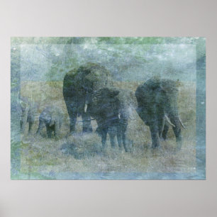 Chalk Elephants Poster