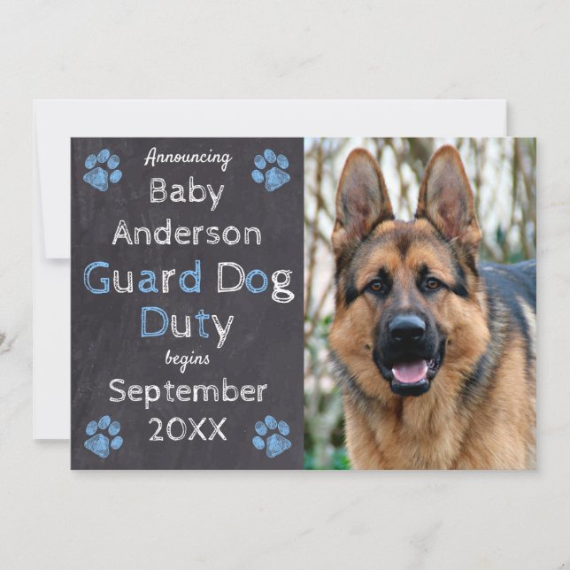 Chalkboard Blue Baby Dog Pregnancy Announcement (Front)