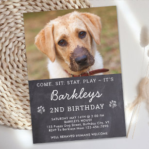Chalkboard Puppy Dog Birthday Custom Pet Photo  In Invitation