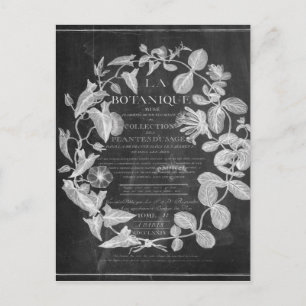 chalkboard scripts french botanical art ivy leaves postcard
