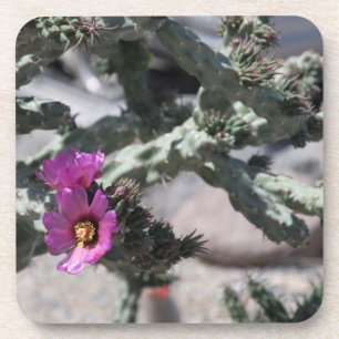 Challa Cactus in bloom Coaster