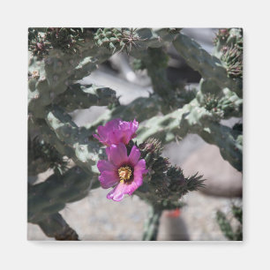 Challa Cactus in bloom Magnet
