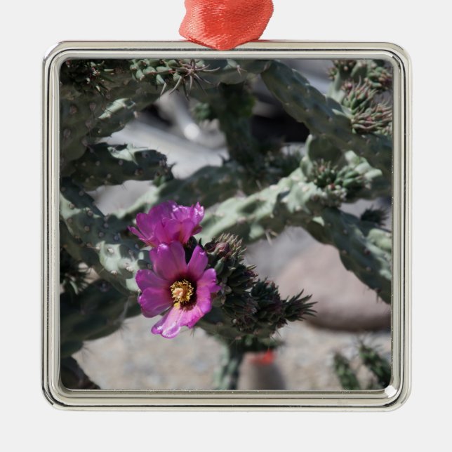 Challa Cactus in bloom  Metal Tree Decoration (Front)