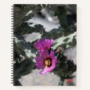Challa Cactus in bloom Notebook