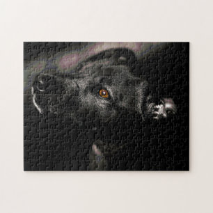 Challenging Almost All Black Sweet Dog Puzzle