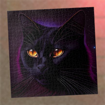 Challenging Black Cat 