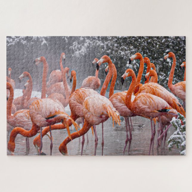 Challenging Flamingos Photo  Jigsaw Puzzle (Horizontal)