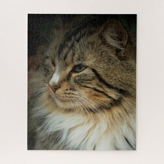 Challenging Norwegian Forest Cat Jigsaw Puzzle (Vertical)
