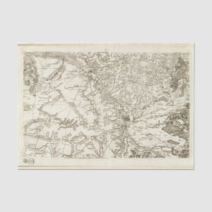 Chalonsen Champagne Tissue Paper