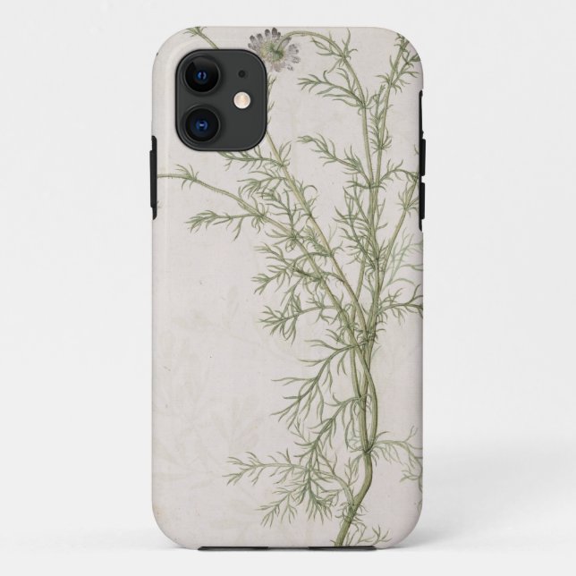 Chamaemelum nobile Allioni, c.1568 Case-Mate iPhone Case (Back)