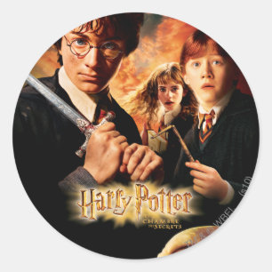 Chamber of Secrets - French Classic Round Sticker