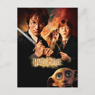 Chamber of Secrets - French Postcard