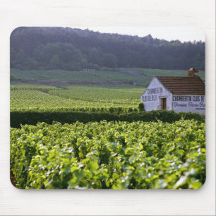 Chambertin Clos de Beze Grand Cru vineyard with Mouse Pad