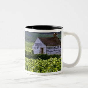 Chambertin Clos de Beze Grand Cru vineyard with Two-Tone Coffee Mug