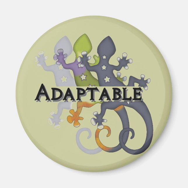 Chameleon Adaptable Magnet (Front)