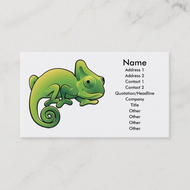 Chameleon business card design (Front)