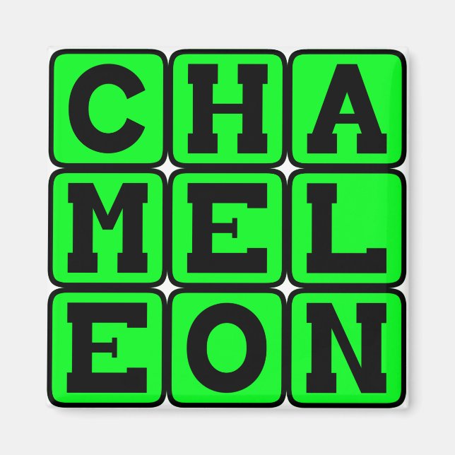 Chameleon, Colour-Changing Lizard Magnet (Front)