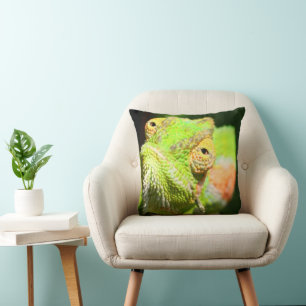 Chameleon Cushion