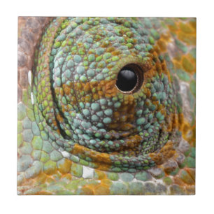Chameleon Eye Mod Stylish Animal Tile