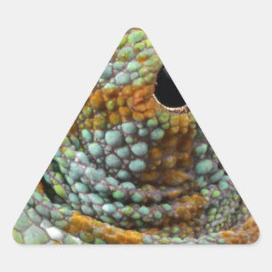 Chameleon Eye Mod Stylish Animal Triangle Sticker