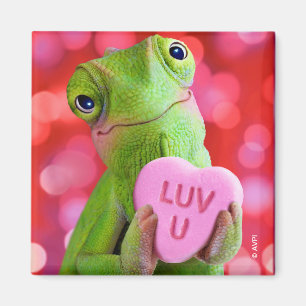 Chameleon Heart (Luv U) Magnet