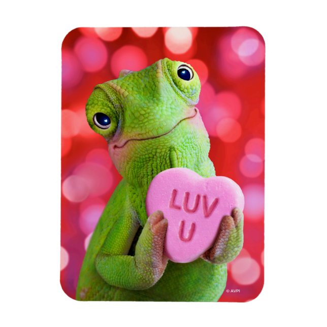 Chameleon Heart (Luv U) Magnet (Vertical)