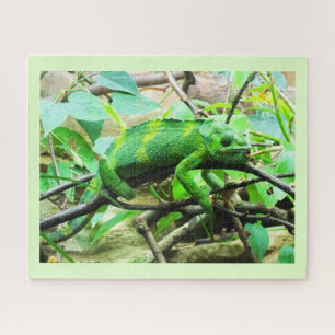 Chameleon Jigsaw Puzzle