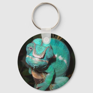 Chameleon Key Ring