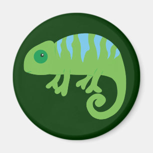 Chameleon Magnet
