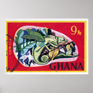 Chameleon Matchbox Art Print, Ghanaian Vintage Poster