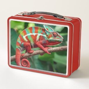 Chameleon metal lunch box