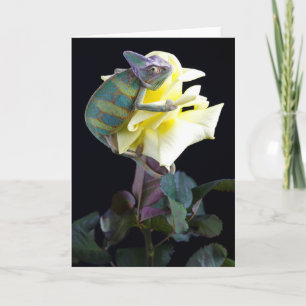 Chameleon on Yellow Rose Card