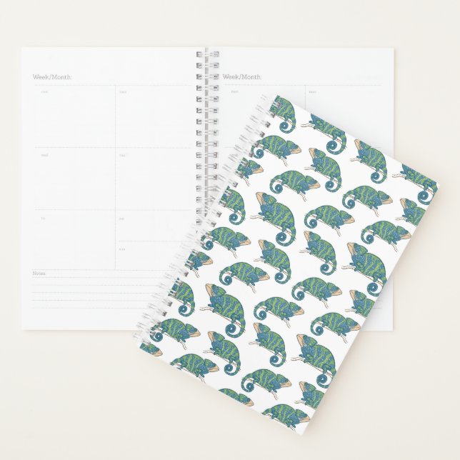 Chameleon Pattern Planner (Display)