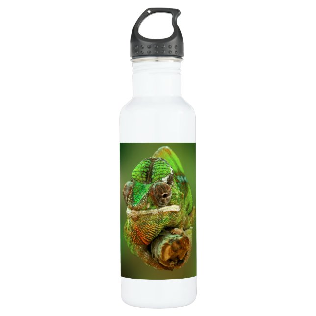 Chameleon Photo 710 Ml Water Bottle (Front)