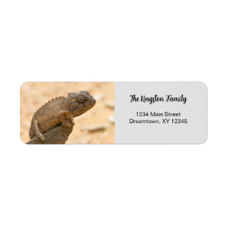 Chameleon photo personalised Return Address