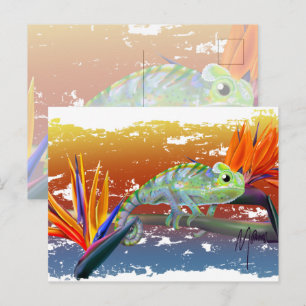 Chameleon  postcard
