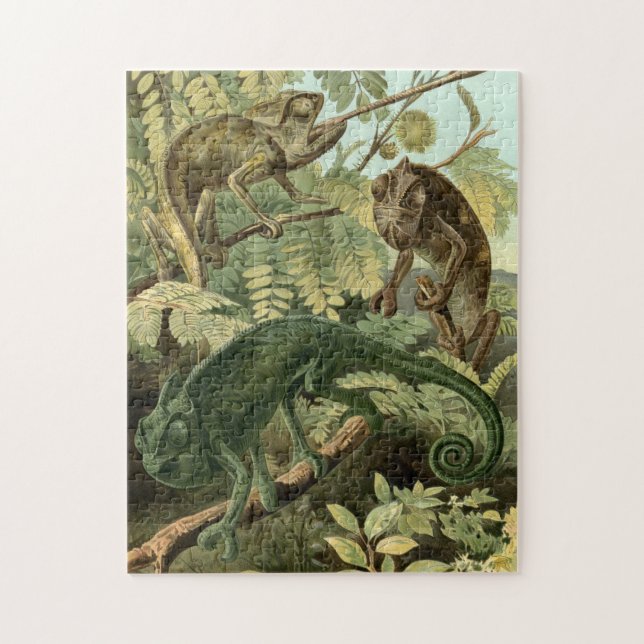 Chameleon Puzzle Vintage Illustration (Vertical)