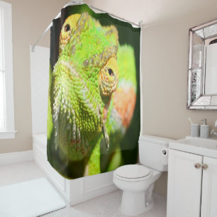 Chameleon Shower Curtain
